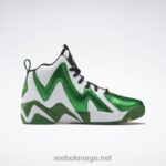 glen green/ftwr white/core black 2X42N149 Reebok hurrikaze ii basketballsko - Bilde 2