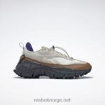 kritt/alabaster/villbrun 2X42N109 Reebok zig kinetica 2.5 kantsko