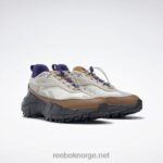 kritt/alabaster/villbrun 2X42N109 Reebok zig kinetica 2.5 kantsko - Bilde 5