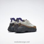 kritt/alabaster/villbrun 2X42N109 Reebok zig kinetica 2.5 kantsko - Bilde 6