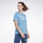 kvinner essensielt blått 2X42N797 Reebok identitet t-skjorte