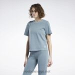 kvinner midnattsfuru 2X42N974 Reebok klassisk naturlig farget t-skjorte