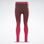 kvinner rødbrun/forfølgelsesrosa 2X42N882 Reebok forenet av fitness-sømløse høye leggings - Bilde 6