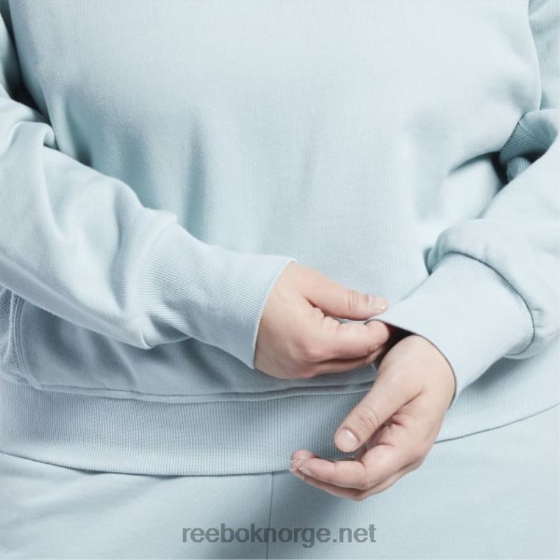 kvinner sjøsiden grå 2X42N749 Reebok klassisk fransk frottégenser i bomull (plus size) - Bilde 5