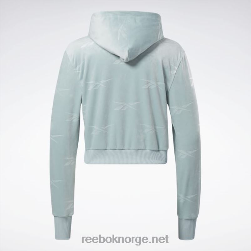 kvinner sjøsiden grå 2X42N785 Reebok classics energy q4 genser med glidelås i velour - Bilde 9