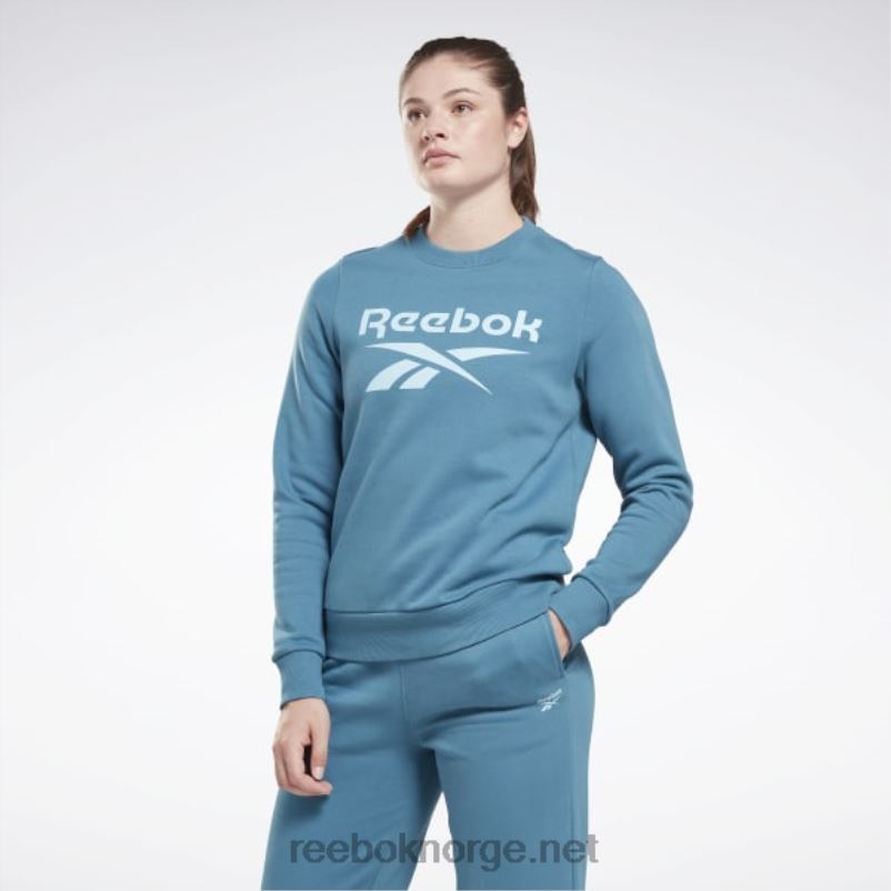 kvinner_stalbla_s23_r_2x42n827_reebok_identitet_stor_logo_fleece_crew_sweatshirt.jpg kvinner stålblå s23-r 2X42N827 Reebok identitet stor logo fleece crew sweatshirt - Bilde 1