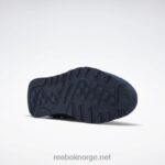 lag marine/platina 2X42N1142 Reebok klassiske nylon herresko - Bilde 7