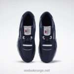 lag marine/platina 2X42N1142 Reebok klassiske nylon herresko - Bilde 8