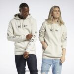 alabast 2X42N310 Reebok dc x logo hettegenser