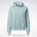kvinner sjøsiden grå 2X42N639 Reebok classics natural dye fleece-hettegenser - Bilde 9
