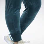 kvinner Skoggrønn 2X42N886 Reebok classics energy q4 velurbukser (plus size) - Bilde 4
