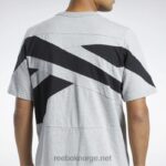middels grå lyng 2X42N346 Reebok klassisk merkevare stolt t-skjorte - Bilde 4