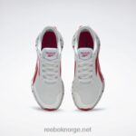 ren grå 1/vektor rød/ren grå 2 2X42N1076 Reebok zig dynamica 2 herresko - Bilde 8