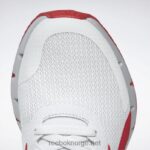 ren grå 1/vektor rød/ren grå 2 2X42N1076 Reebok zig dynamica 2 herresko - Bilde 10