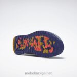 ren grå 3/fet lilla/oransje bluss 2X42N1122 Reebok nano x2 tr adventure treningssko for menn - Bilde 6