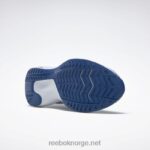 ren grå 3/kjerne sort/vektorblå 2X42N1055 Reebok runner 5 løpesko for menn - Bilde 7