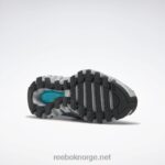 ren grå 3/klassisk blågrønn 2X42N167 Reebok zigwild trail 6 damesko - Bilde 7