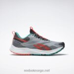 ren grå 3/klassisk blågrønn/oransje bluss 2X42N1089 Reebok floatride energy 4 adventure joggesko for menn