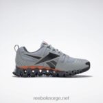 ren grå 3/ren grå 7/smash oransje s23-r 2X42N1059 Reebok zigwild trail 6 herresko - Bilde 2
