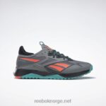 ren grå 5/kjerne sort/klassisk blågrønn 2X42N101 Reebok nano x2 tr adventure treningssko for kvinner