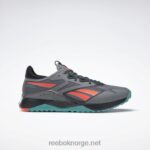 ren grå 5/kjerne sort/klassisk blågrønn 2X42N1063 Reebok nano x2 tr adventure treningssko for menn
