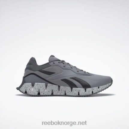 ren grå 5/ren grå 7/kjerne sort 2X42N220 Reebok zig dynamica 4 sko