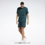 Skoggrønn 2X42N377 Reebok klassiske vektorshorts - Bilde 2