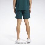 Skoggrønn 2X42N377 Reebok klassiske vektorshorts - Bilde 3
