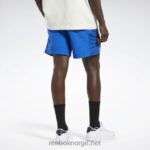 vektor blå 2X42N610 Reebok klassiske vektorshorts - Bilde 3
